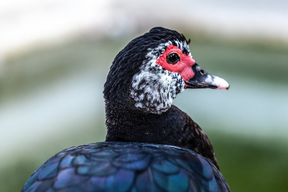 Photograph by Jose Luis Mendez Fernandez