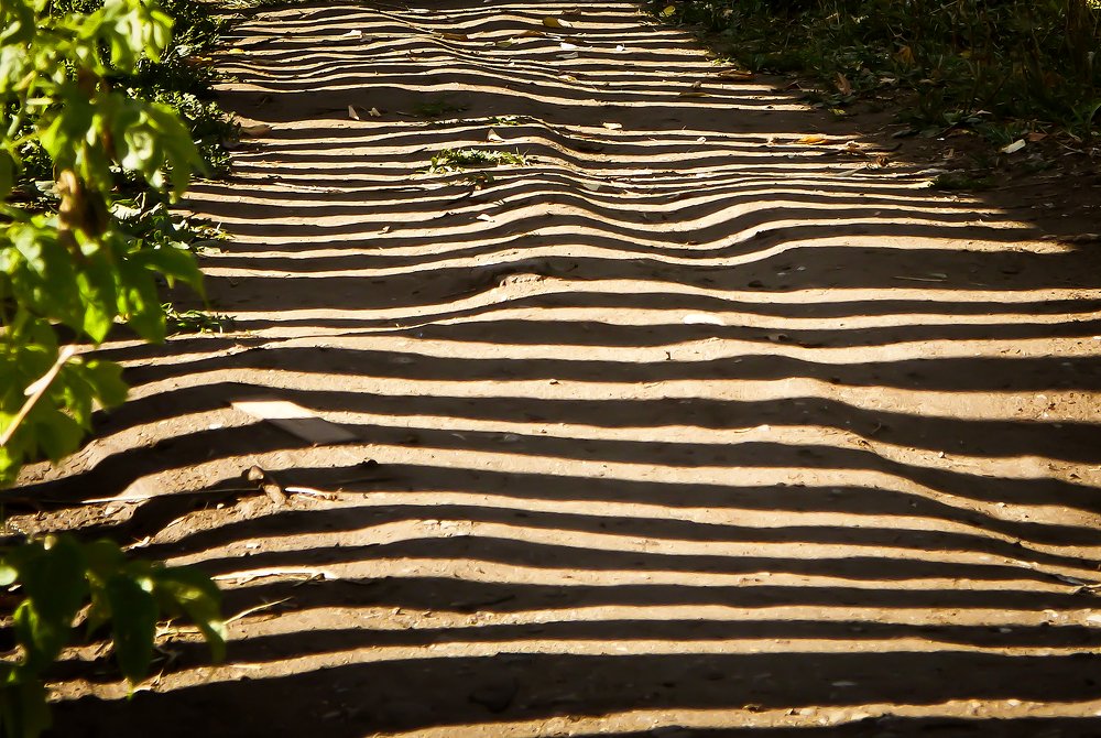 Фотография автора Гоголев Игорь