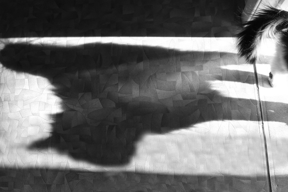 Photograph by Валерий Козуб