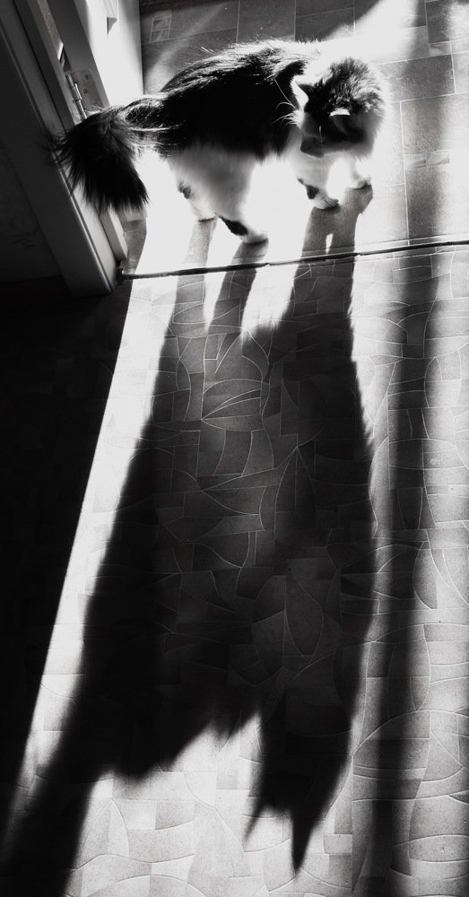 Photograph by Валерий Козуб