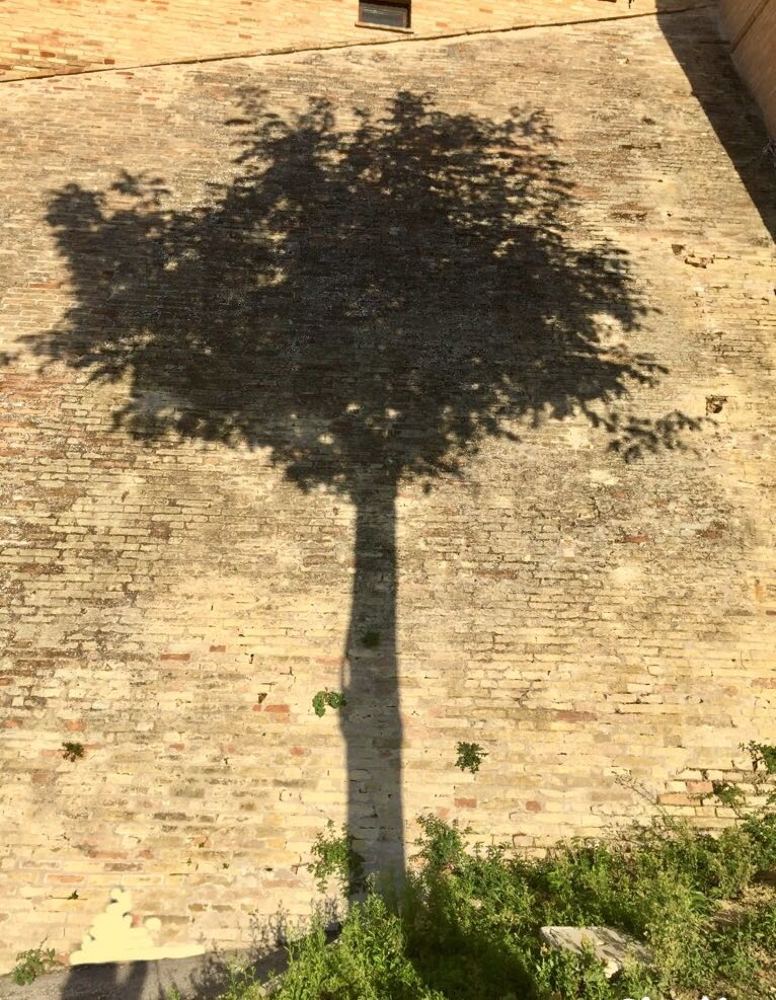 Photograph by Марина Неберекутина