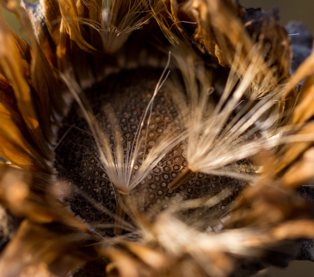 Photograph by Михаил Магид