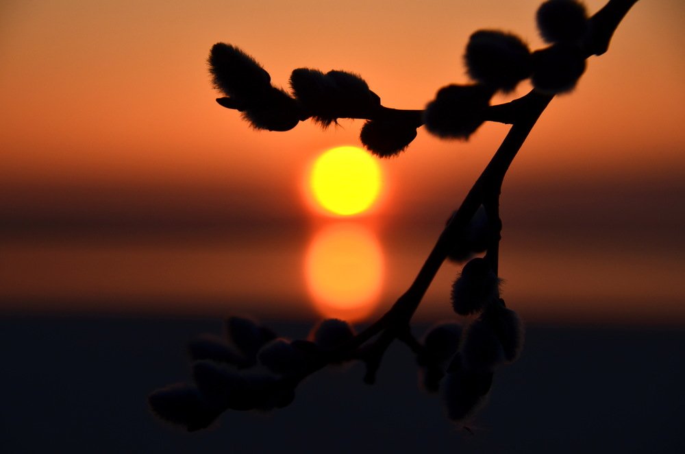 Немного солнца в холодной воде.