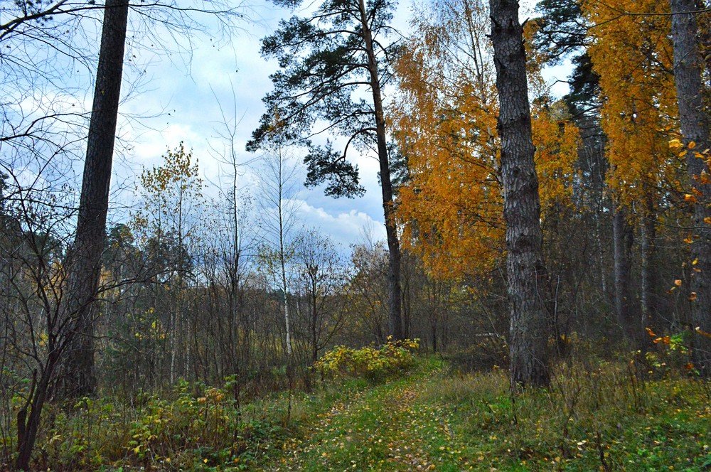 Фотография автора Клавдия Васильева