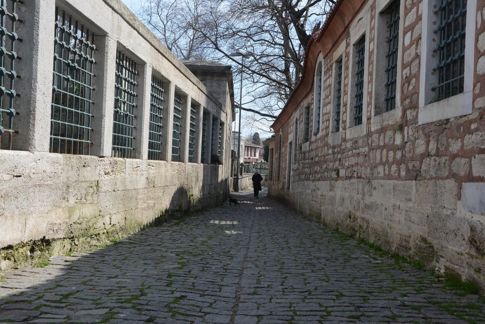 Photograph by Gülşen  Mutlu