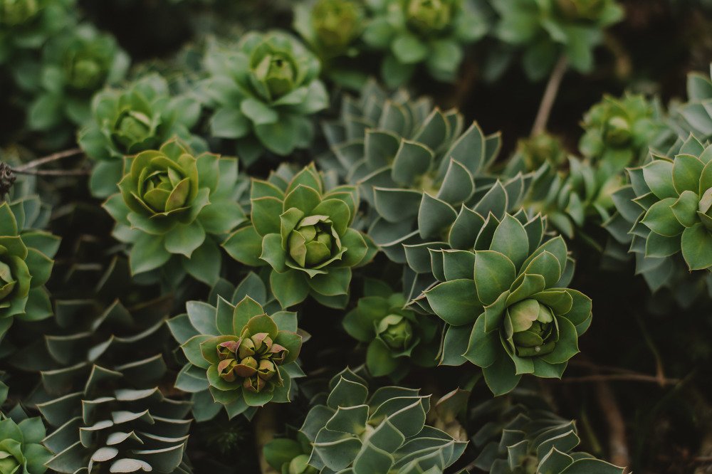 Photograph by Евгения Скидан