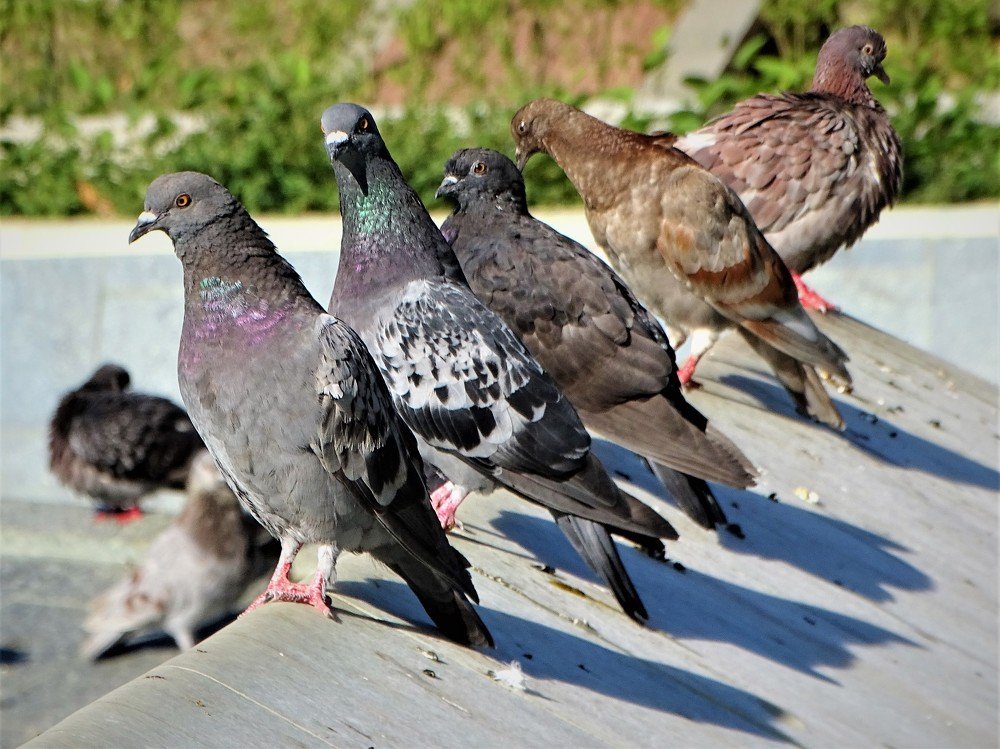 Photograph by Марина Цекова