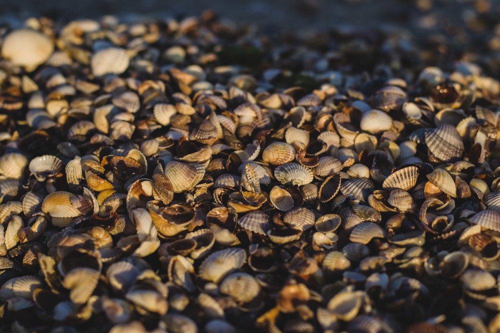 Photograph by Евгения Скидан