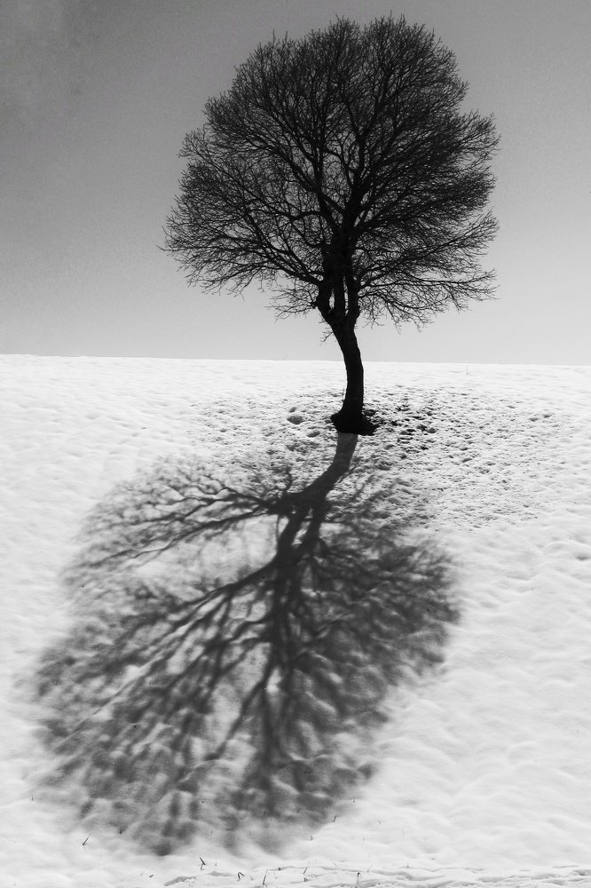 Photograph by mazhar kalkhal