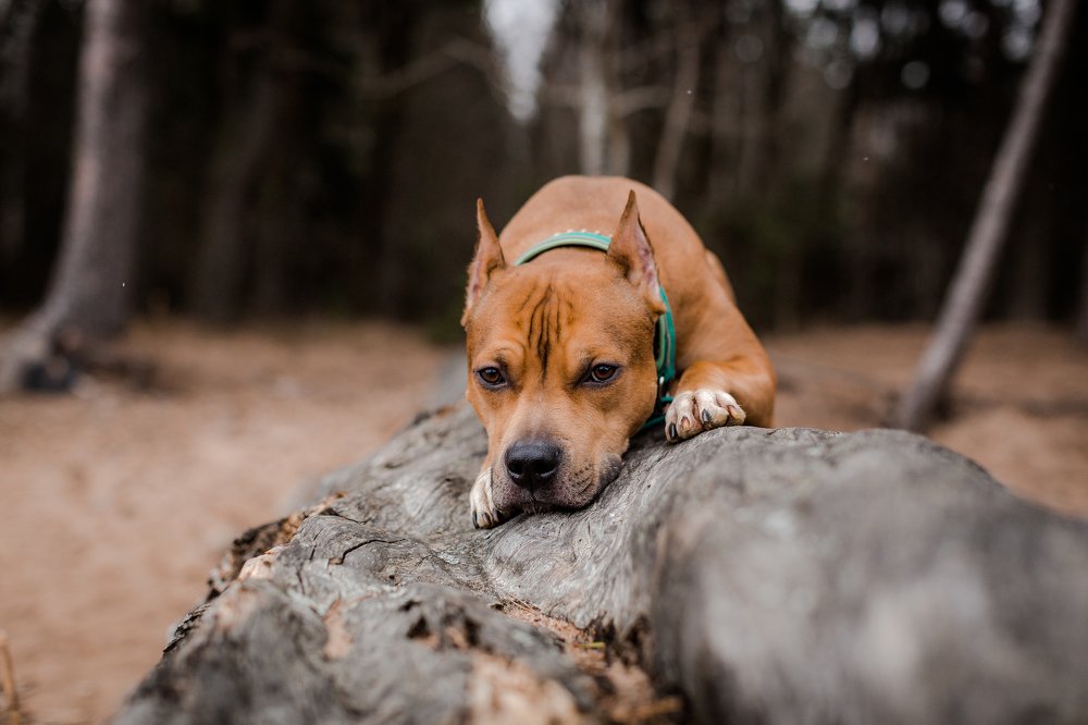 Photograph by Елена Левина