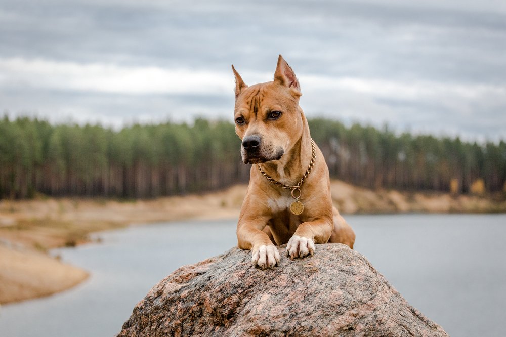 Photograph by Елена Левина