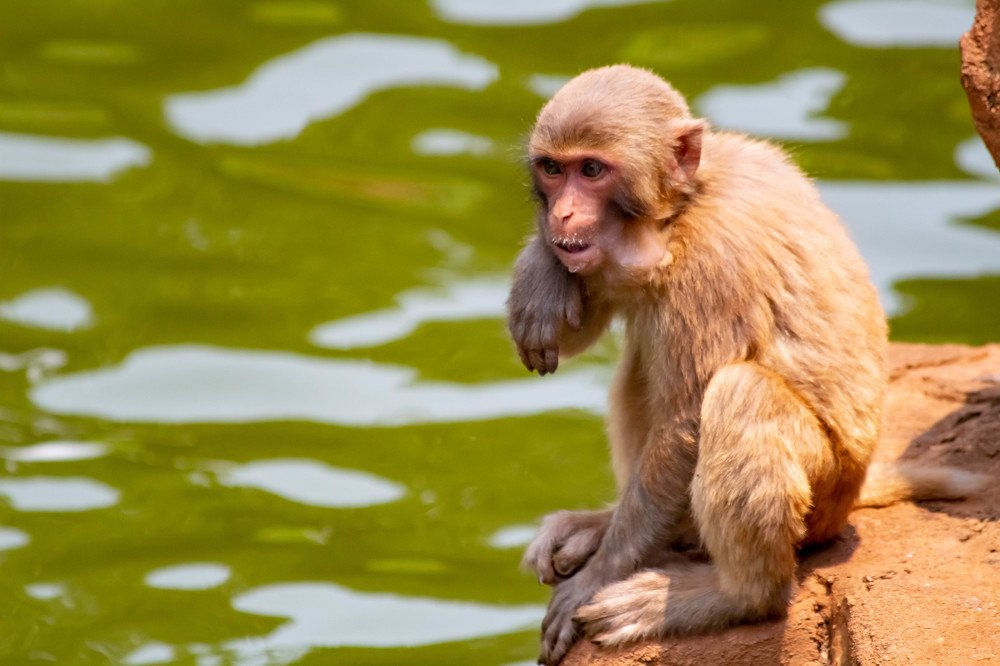 Photograph by Мари Полищук