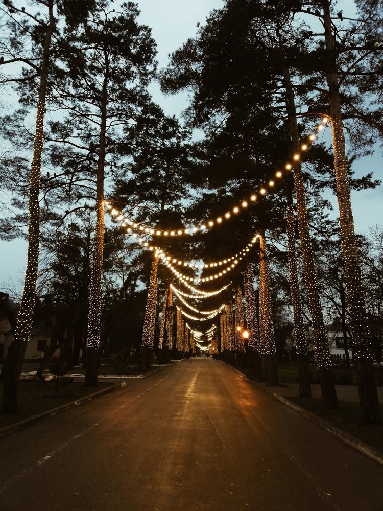 Photograph by Марина Николаева