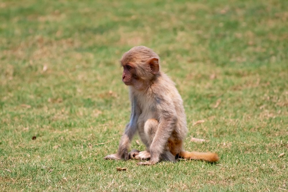 Photograph by Мари Полищук