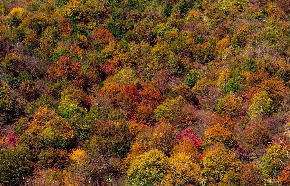 Photograph by Fargana Gasimli