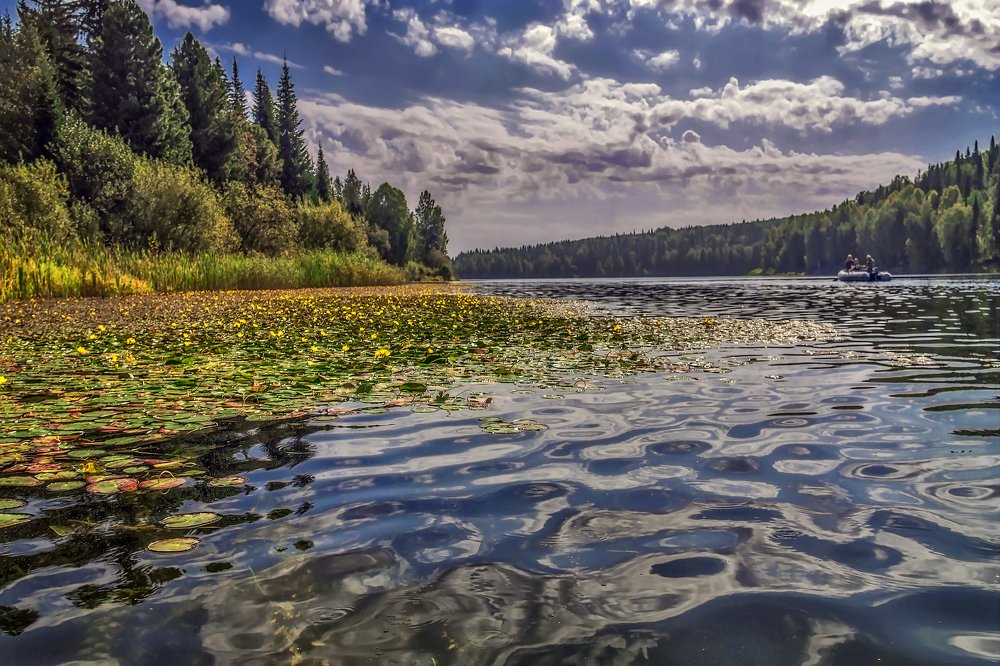 Завтра осень