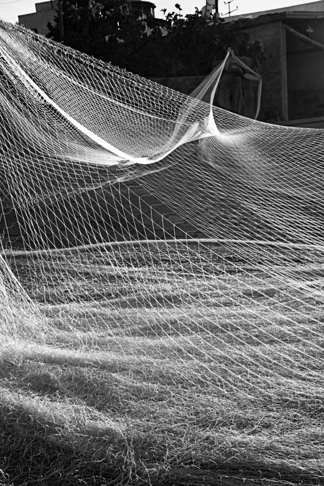 Fish net