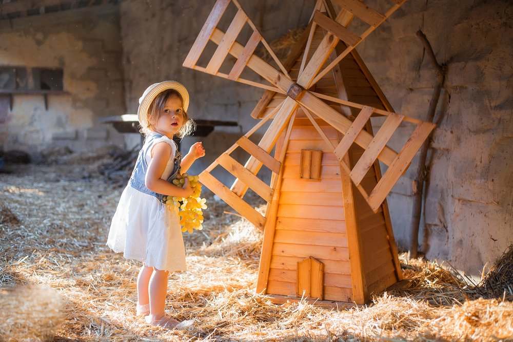 Фотография автора Александра Осадчая