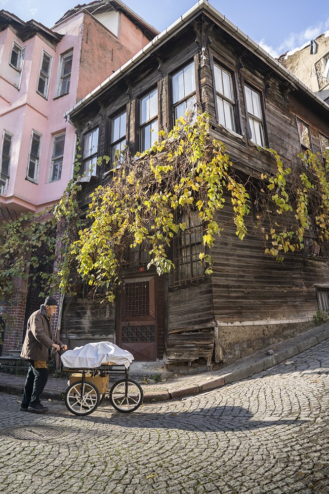 Photograph by Анатолий Гузенко