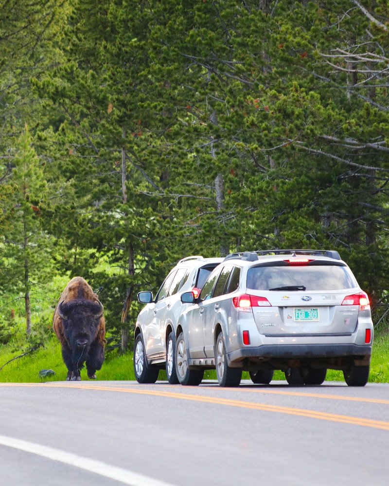 Photograph by Lana Anferow