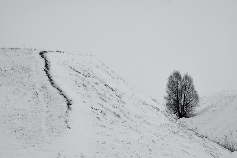 Photograph by Роман Рыжков