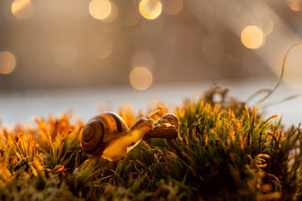 Photograph by Василий Некрасов