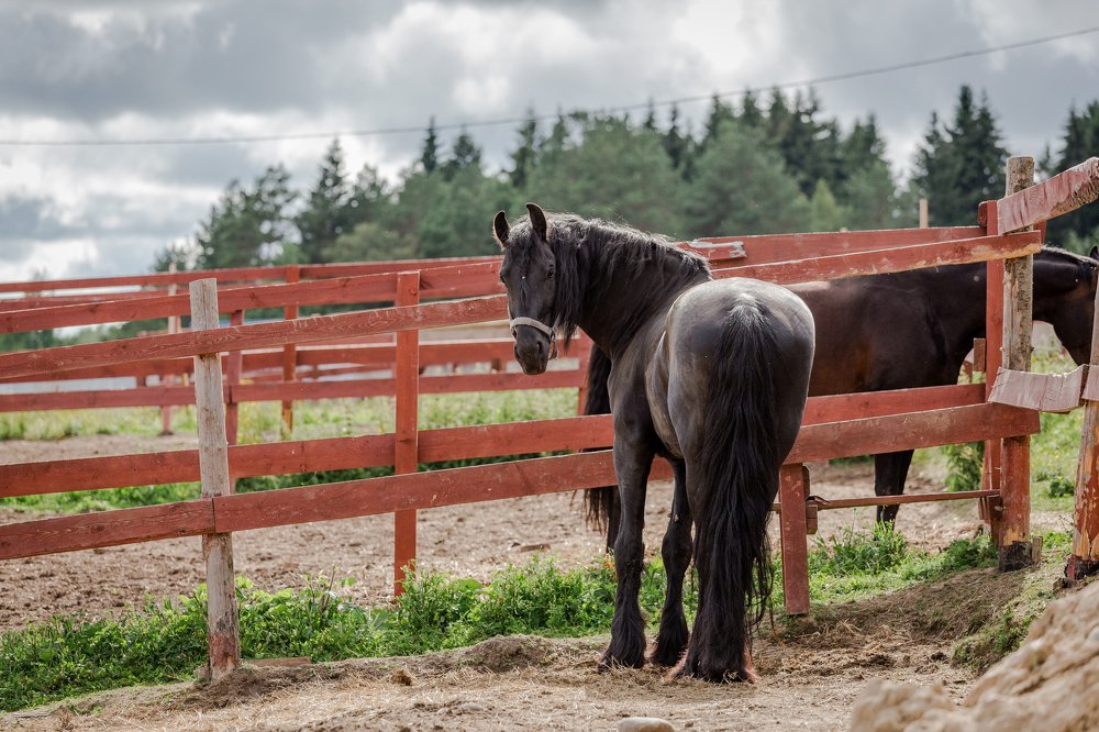 Photograph by Елена Левина