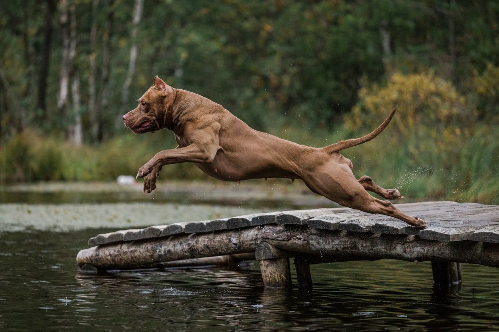 Photograph by Елена Левина