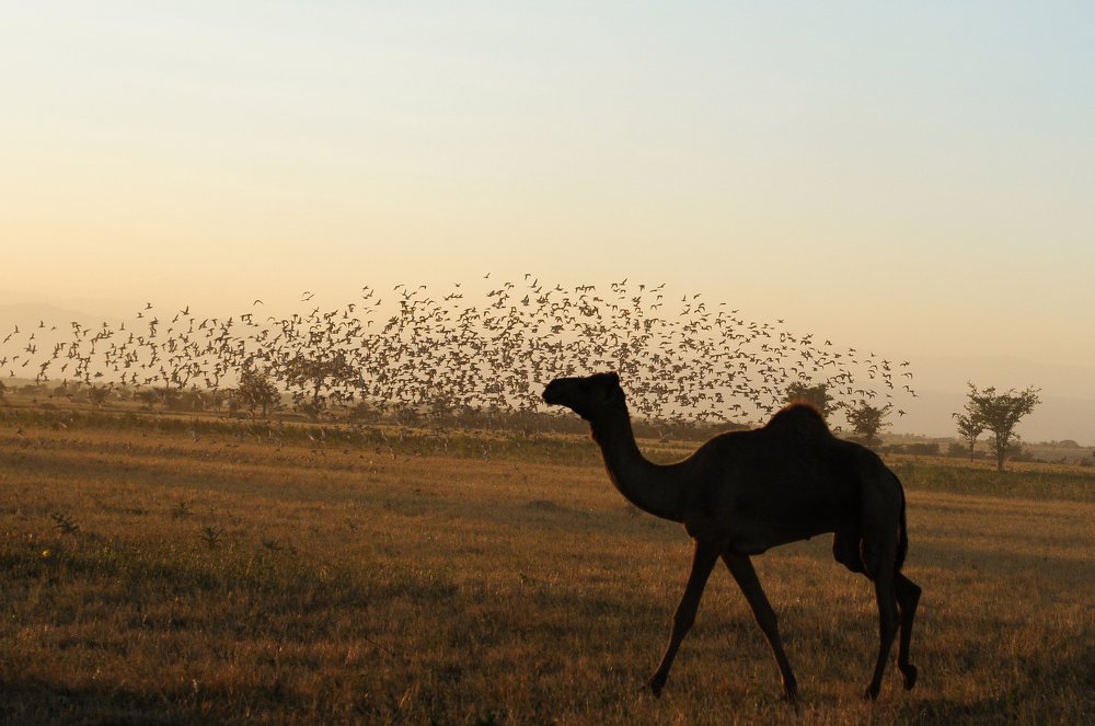 Photograph by MIHERETU DANIEL