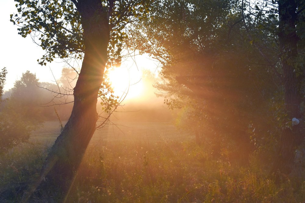 Photograph by Тарасова Инна