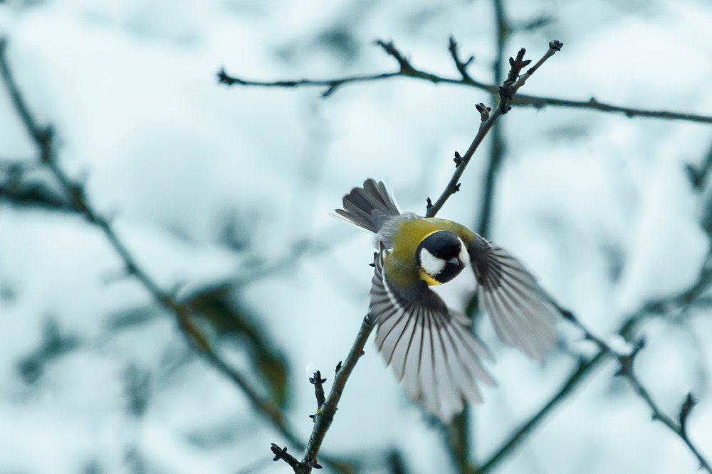 Photograph by Serhij Kharchenko