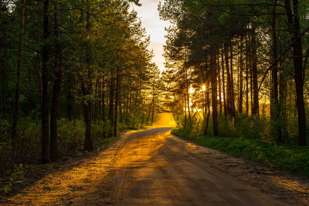 Photograph by Елена Иванова