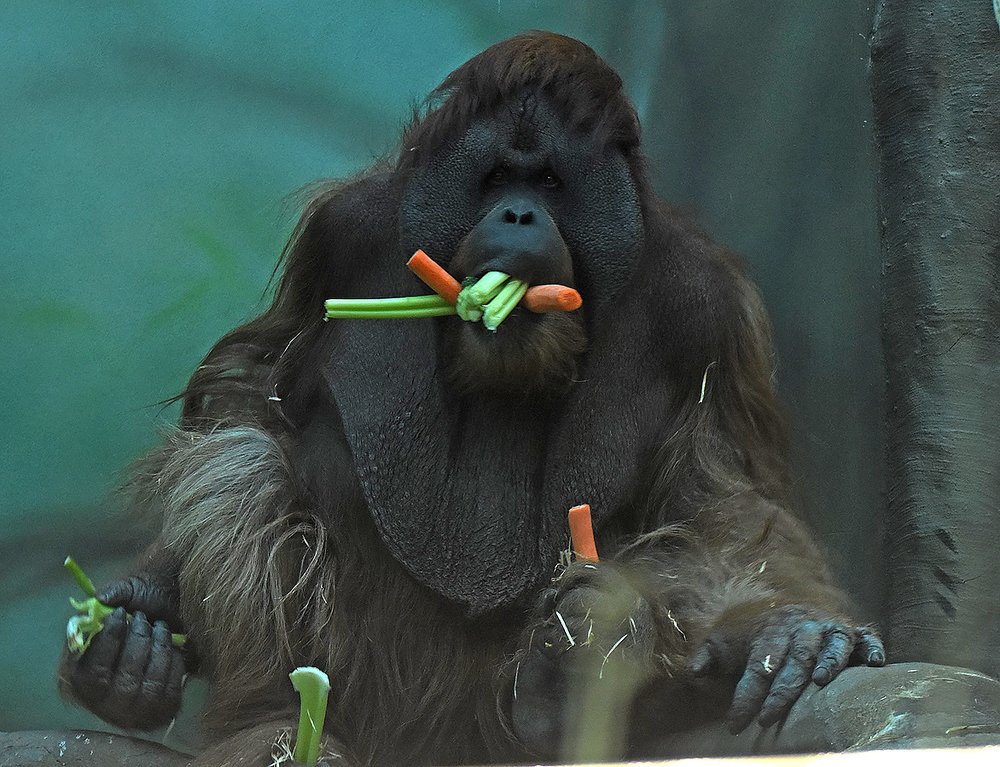 Photograph by Сергей Духанин