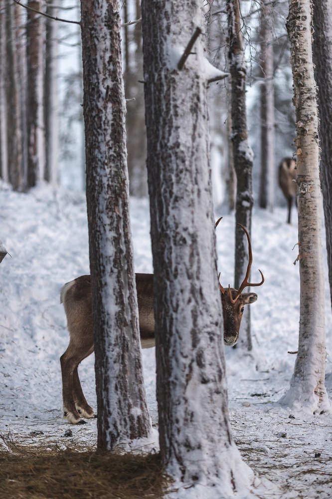 Photograph by Сергей Крюков