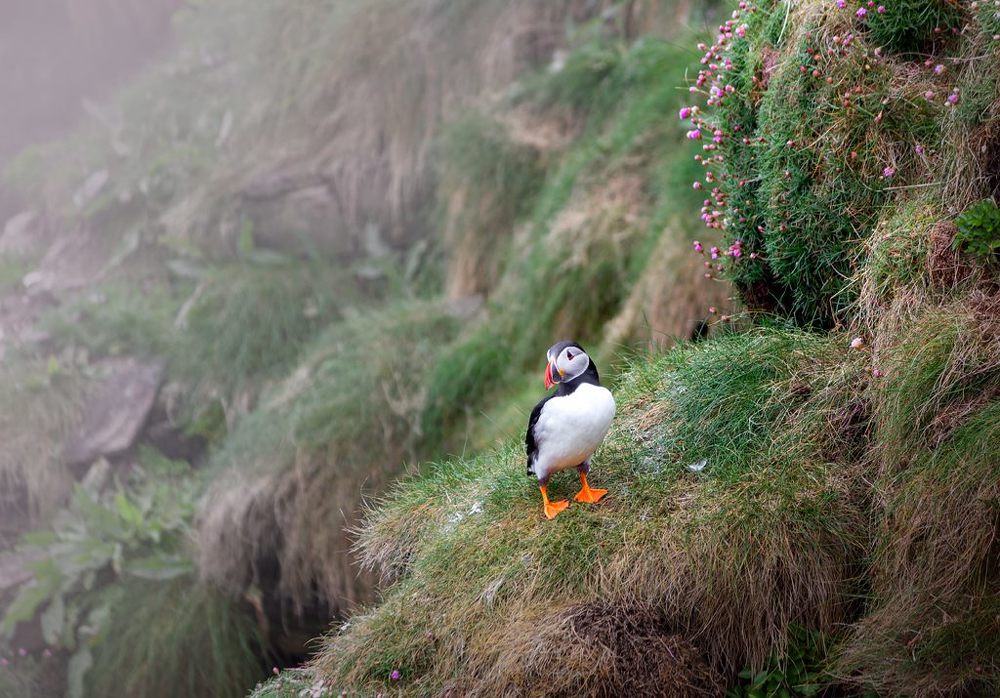 Фотография автора Anna Gillespie