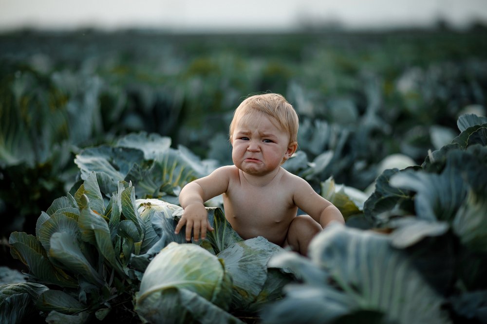 Photograph by Екатерина Кузьмина