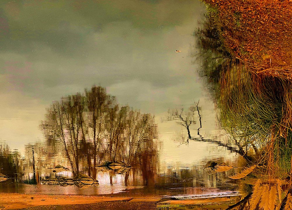 Photograph by Karina Elena Bergagna