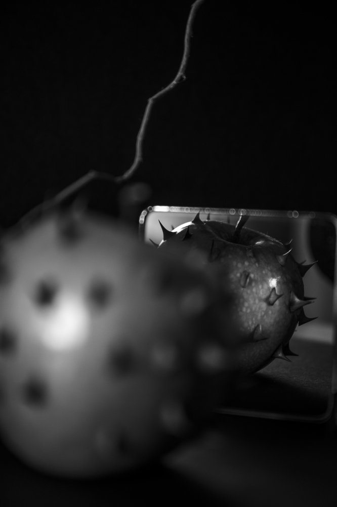 Photograph by Irena Khovanets