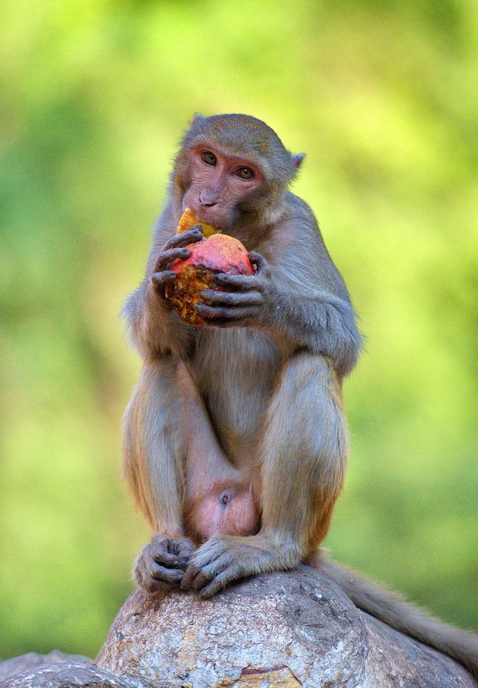 Photograph by Aung Kyaw Soe