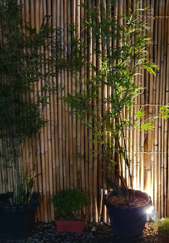 Bamboo Natural Stripe Pattern