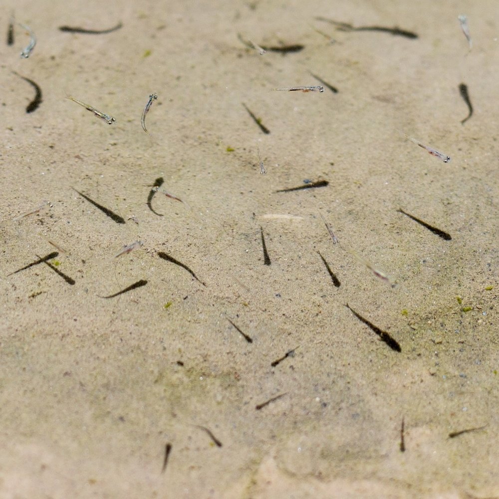 Photograph by Rasoul Soleimani