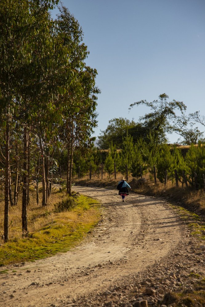 Photograph by Alejandra Collarte