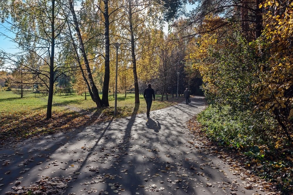 В осеннем парке
