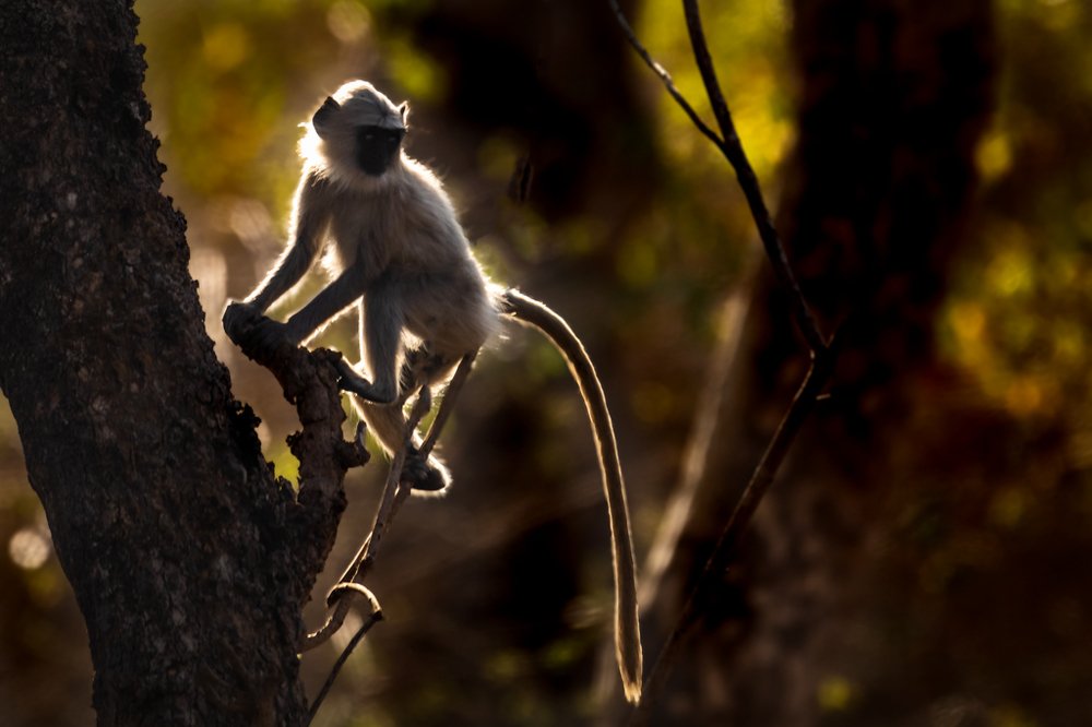 Photograph by Vinod Kumar Kulkarni