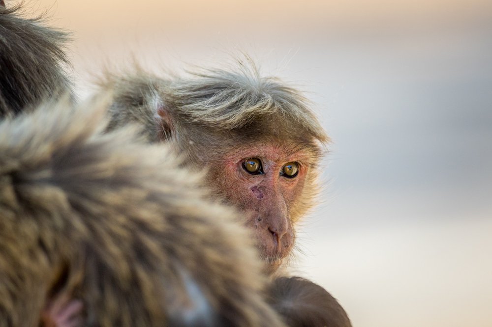 Photograph by Vinod Kumar Kulkarni