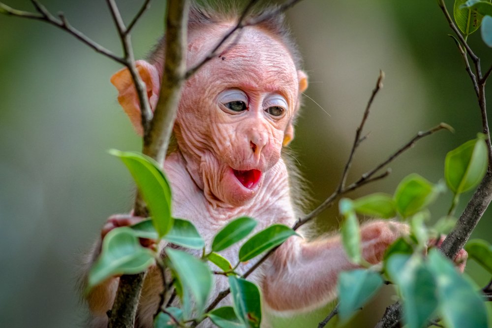 Photograph by Vinod Kumar Kulkarni