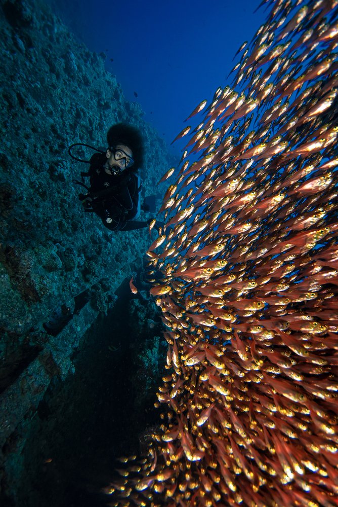 Crystal fish explosion