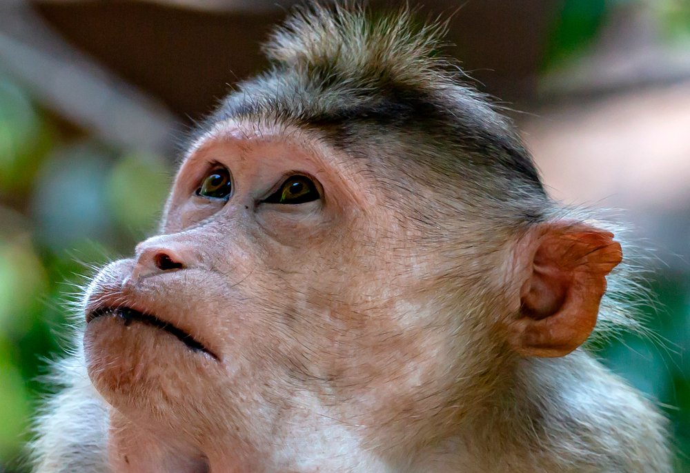 Фотография автора Людмила Прокофьева