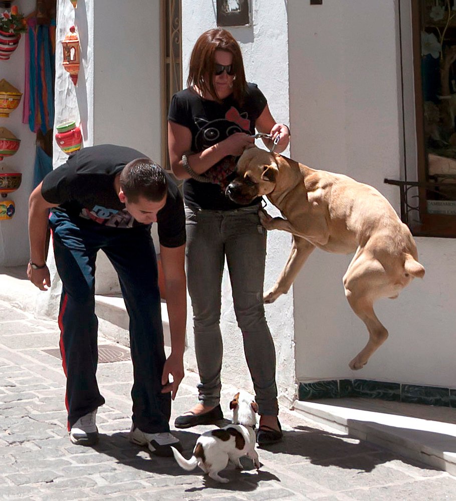 Фотография автора Людмила Прокофьева