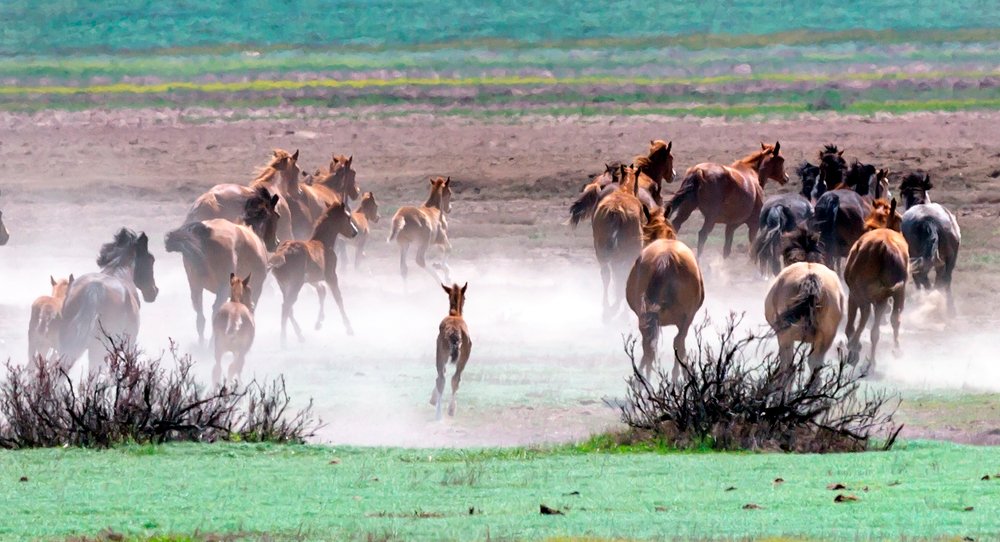 Фотография автора Людмила Прокофьева
